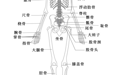 孕早期满脸痘痘怎么办-怀孕初期脸上起了很多痘痘怎么回事网-分享孕早期脸上起了密密麻麻的小疙瘩，孕早期满脸痘痘怎么办知识库