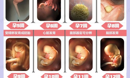 怀孕初期脸上长痘痘怎么回事-怀孕初期脸上起了很多痘痘怎么回事网-分享孕早期脸上起了密密麻麻的小疙瘩，孕早期满脸痘痘怎么办知识库